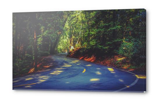 Road to nature on Highway 1, California, USA Acrylic prints by Timmy333