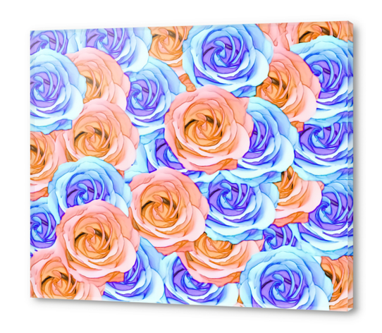 blooming rose texture pattern abstract background in red and blue Acrylic prints by Timmy333