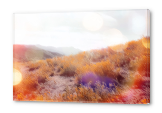 yellow flower field on the mountain with summer light bokeh abstract Acrylic prints by Timmy333