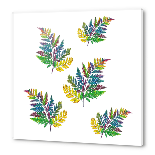 Ferns Acrylic prints by Nika_Akin