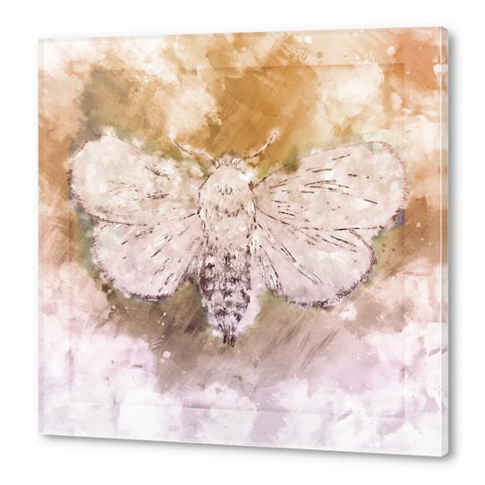  Moth Guided by Lunar Passion  Acrylic prints by JebusofDenmark