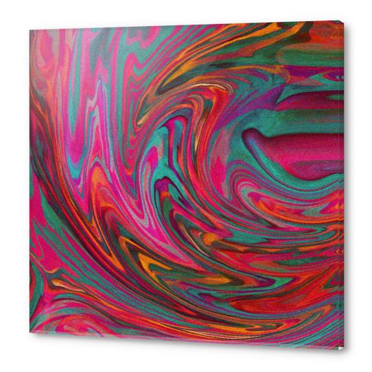 Dopa Acrylic prints by Shelly Bremmer