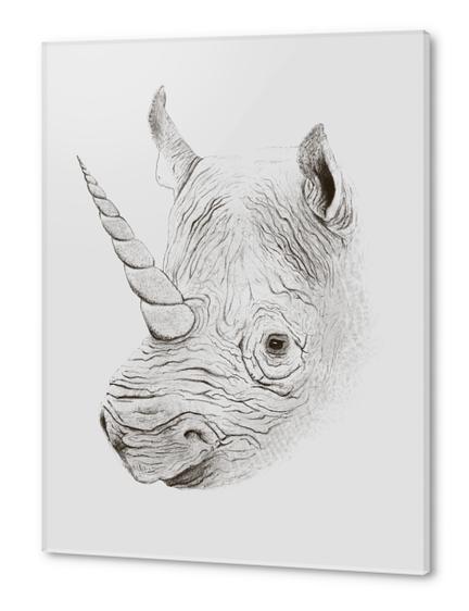 Rhinoplasty Acrylic prints by Florent Bodart - Speakerine