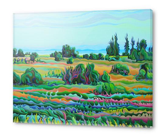 Summer Meadow Dance Acrylic prints by Amy Ferrari Art