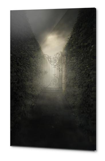 Forgotten alley Acrylic prints by Jarek Blaminsky