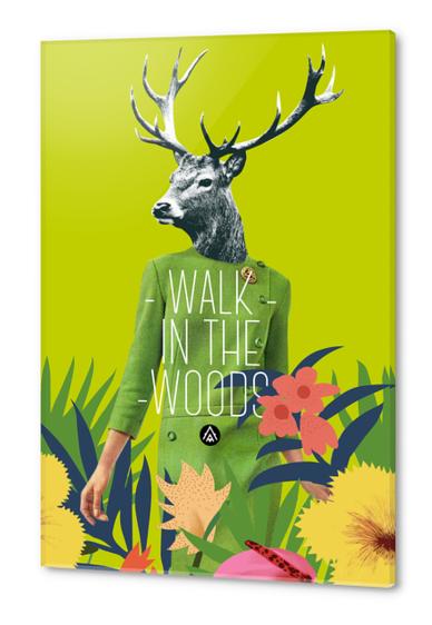 Walk in the woods Acrylic prints by Alfonse