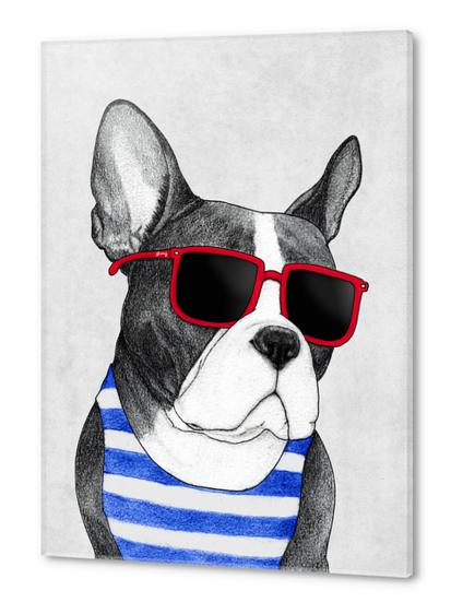 Frenchie Summer Style Acrylic prints by Barruf