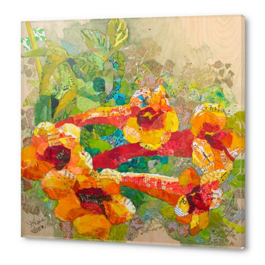 Trumpet Vine Acrylic prints by Elizabeth St. Hilaire