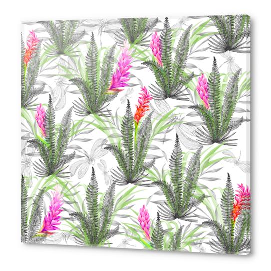 Nature pattern with dragonflies Acrylic prints by mmartabc