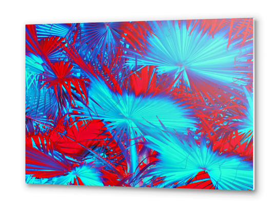 closeup palm leaf texture abstract background in blue and red Metal prints by Timmy333