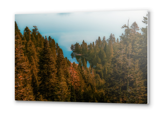 pine tree and lake at Emerald Bay Lake Tahoe California USA Metal prints by Timmy333