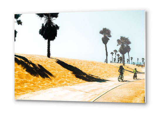 palm tree and sandy beach at Oxnard Beach, California, USA Metal prints by Timmy333