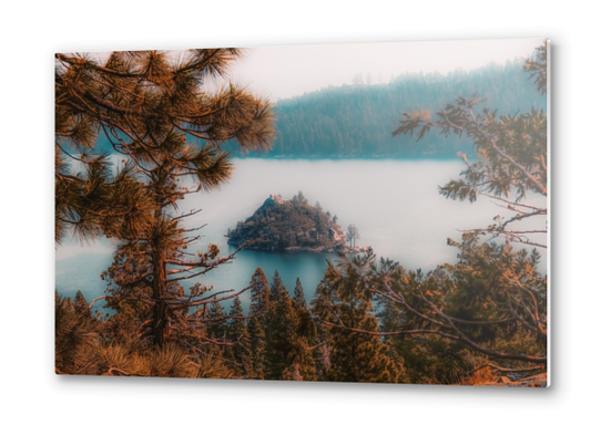 Pine tree and island at Emerald Bay Lake Tahoe California USA Metal prints by Timmy333