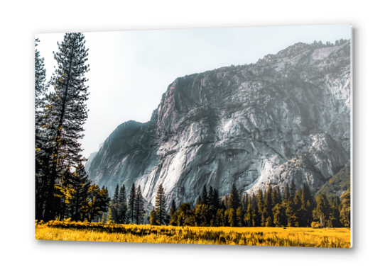 Mountains view at Yosemite national park, California, USA Metal prints by Timmy333