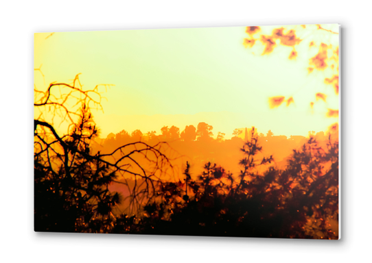 sunset sky in summer with silhouette view at Los Angeles, USA Metal prints by Timmy333