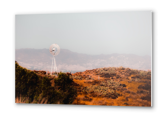 windmill and green cactus garden with mountain view and blue sky Metal prints by Timmy333