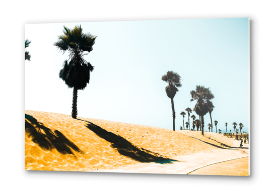 summer sandy beach and palm tree at Oxnard Beach, California, USA Metal prints by Timmy333