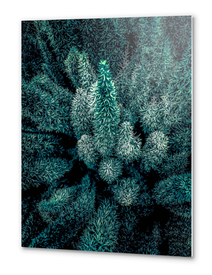 closeup green plant texture abstract background Metal prints by Timmy333