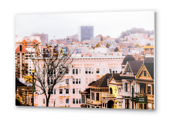 City view at Alamo Square, San Francisco, California, USA Metal prints by Timmy333