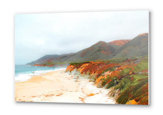 sandy beach and mountain at Big Sur, Highway 1, California, USA Metal prints by Timmy333