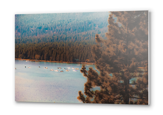 pine tree and boats on the water at Lake Tahoe Nevada USA Metal prints by Timmy333