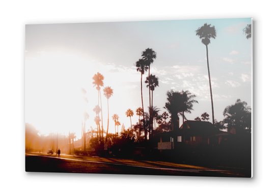 sunset sky in summer with palm tree view in California USA Metal prints by Timmy333