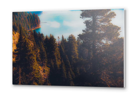 Lake and pine tree at Emerald Bay Lake Tahoe California USA Metal prints by Timmy333