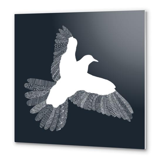 Bird (on blue) Metal prints by Florent Bodart - Speakerine