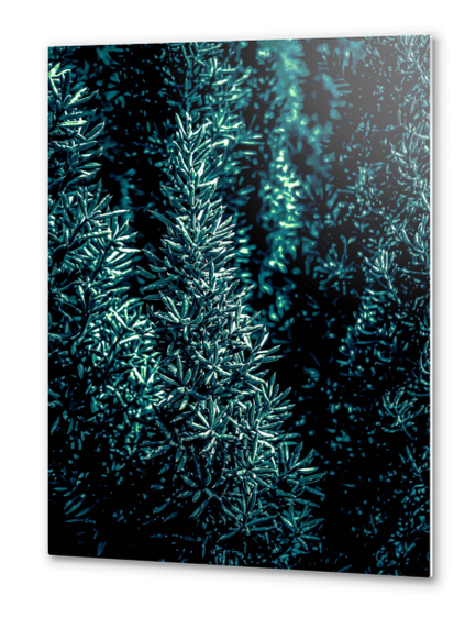 closeup green plant texture background Metal prints by Timmy333