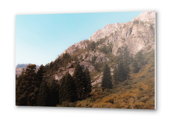 pine tree on the mountain at Lake Tahoe Emerald bay California USA Metal prints by Timmy333