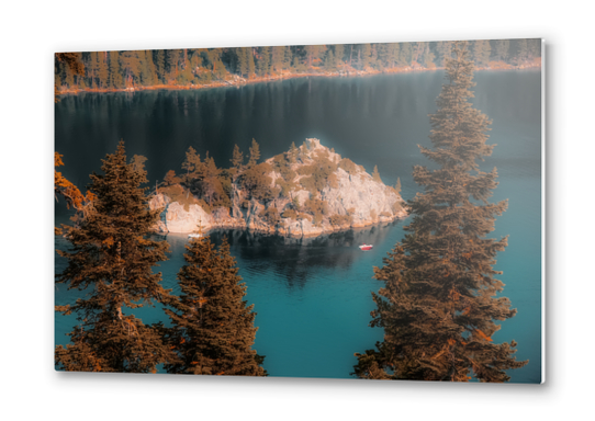 Island and pine tree at Emerald Bay Lake Tahoe California USA Metal prints by Timmy333