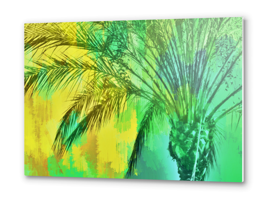 palm tree with green and yellow painting texture abstract background Metal prints by Timmy333