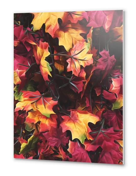 maple leaves texture background in autumn season Metal prints by Timmy333