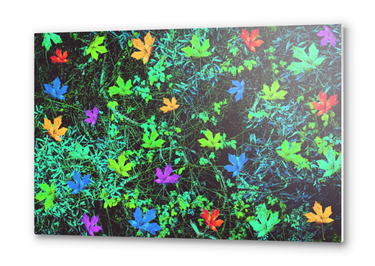 maple leaf in pink blue green yellow orange with green creepers plants background Metal prints by Timmy333