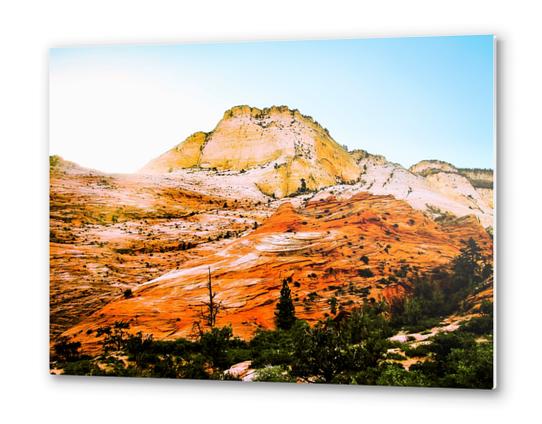 mountain at Zion national park, USA Metal prints by Timmy333