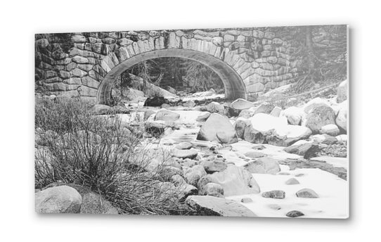 river covered with snow at Sequoia national park, USA in black and white Metal prints by Timmy333