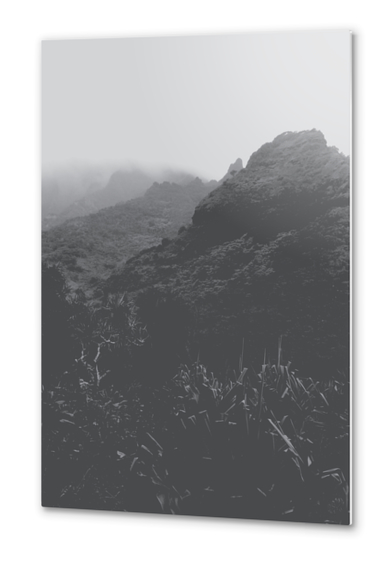 mountain in the forest with foggy sky in black and white Metal prints by Timmy333