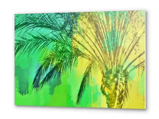 isolate palm tree with painting abstract background in green yellow Metal prints by Timmy333