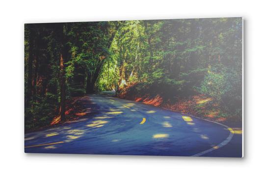 Road to nature on Highway 1, California, USA Metal prints by Timmy333