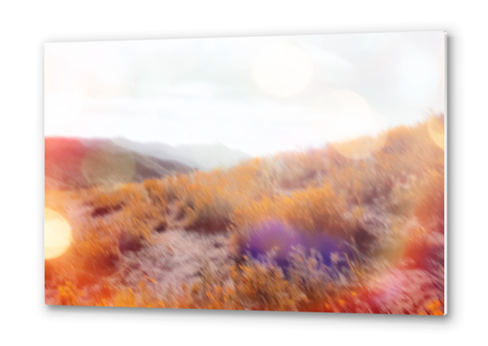 yellow flower field on the mountain with summer light bokeh abstract Metal prints by Timmy333