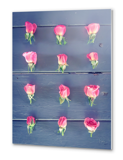 pink baby roses on the wooden table Metal prints by Timmy333