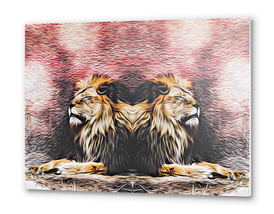 lions sleeping with red background Metal prints by Timmy333