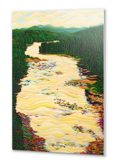 Kakabeca River Dance Metal prints by Amy Ferrari Art