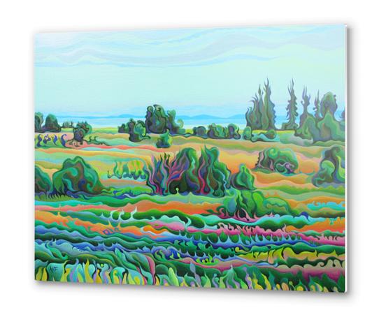 Summer Meadow Dance Metal prints by Amy Ferrari Art