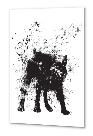 Wet dog Metal prints by Balazs Solti