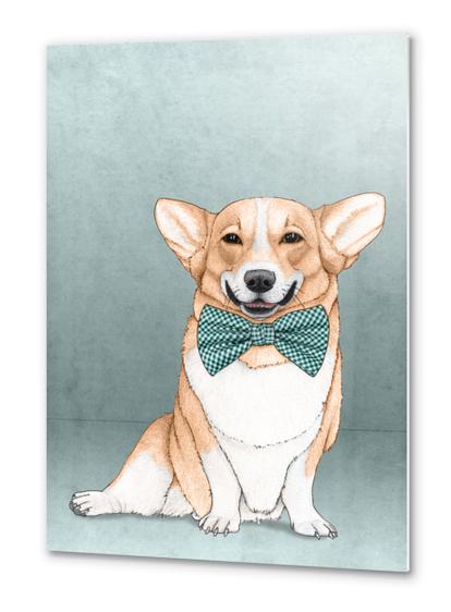 Corgi Dog Metal prints by Barruf