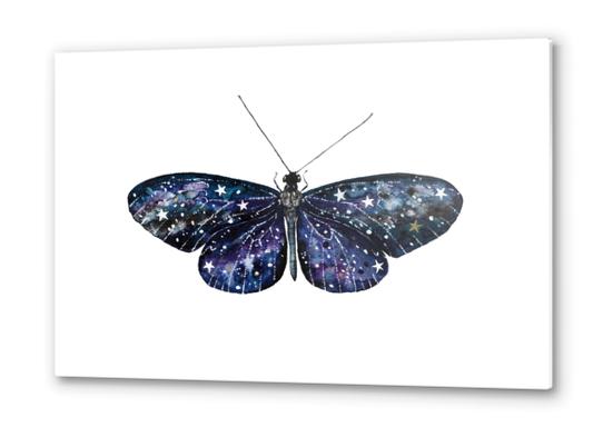 Butterfly Metal prints by Nika_Akin