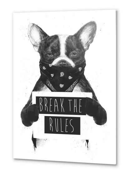 Rebel dog Metal prints by Balazs Solti