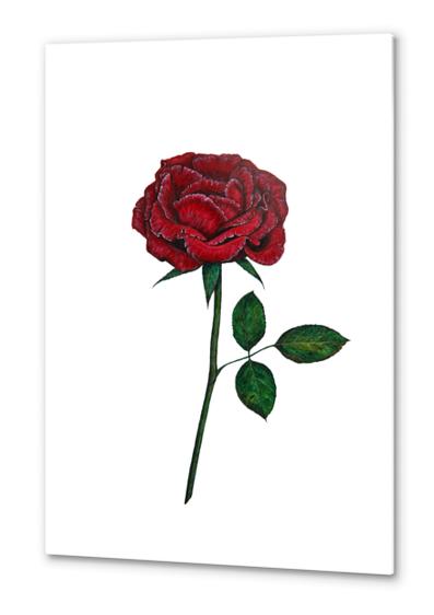 Rose Metal prints by Nika_Akin