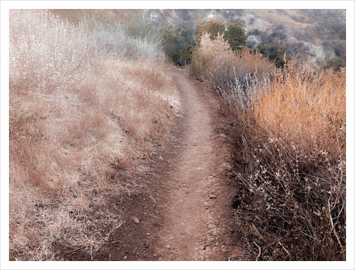 walkway on the mountain with dry grass field Art Print by Timmy333